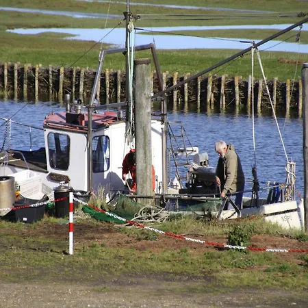 Ferienwohnung, Apartmán